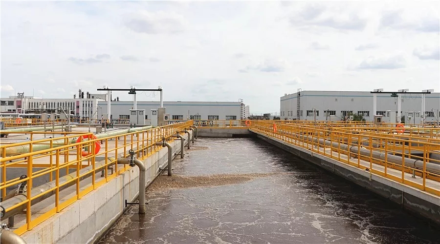 1540799906434632.jpg 0000000000.webp.jpg